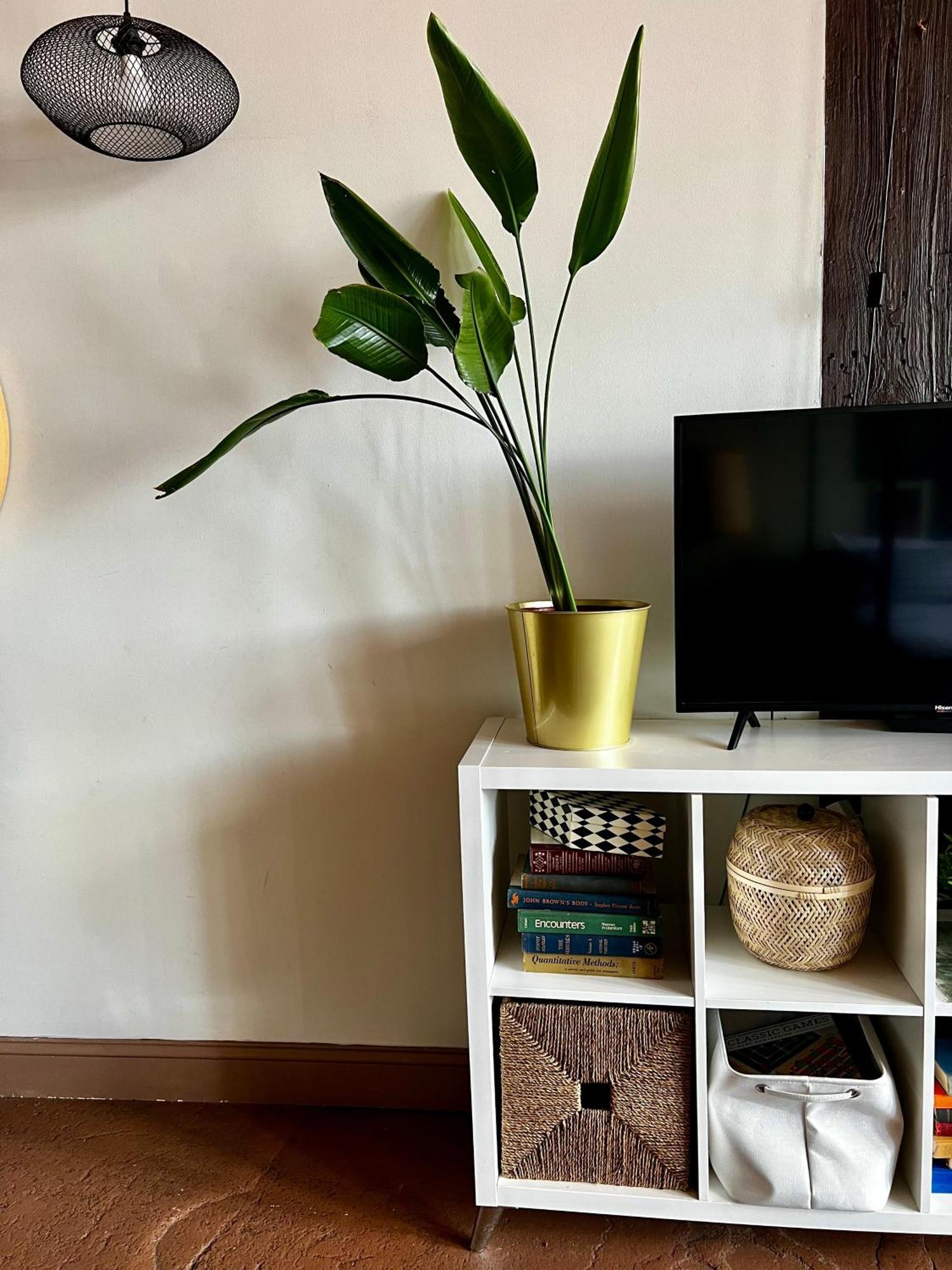 420 Friendly Boho Loft Downtown King Suite Free Parking Detroit Exterior foto